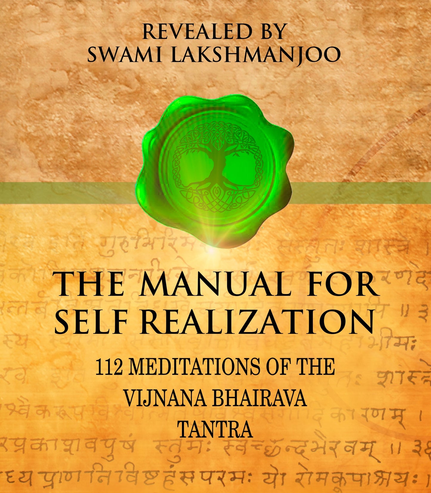 AUDIO: Manual for Self Realization: 112 Meditations of the Vijnana Bhairava Tantra