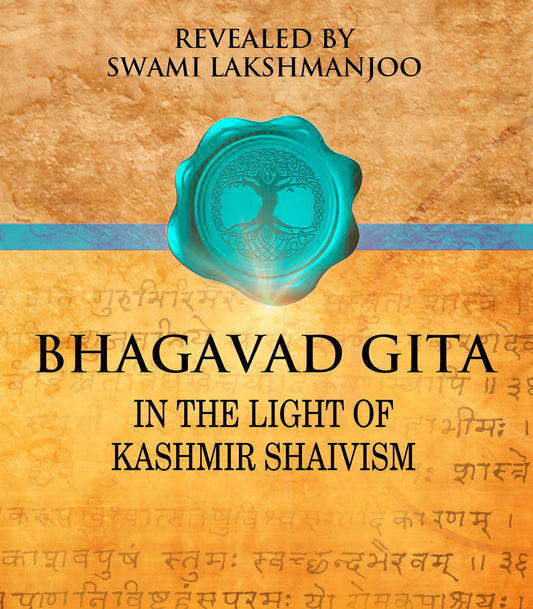 AUDIO: Bhagavad Gita: in the Light of Kashmir Shaivism